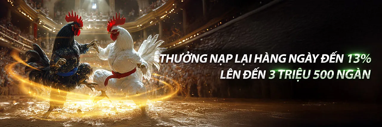 Khuyến mãi vm12 hấp dẫn