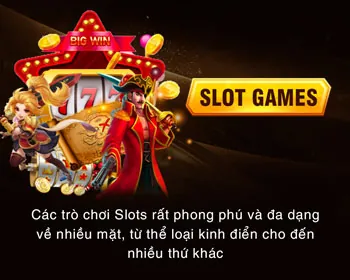 Chương trình hoàn trả cao cấp cho VIP
